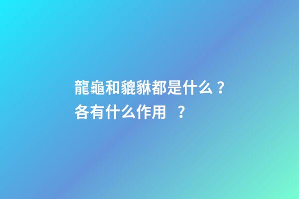龍龜和貔貅都是什么？各有什么作用？
